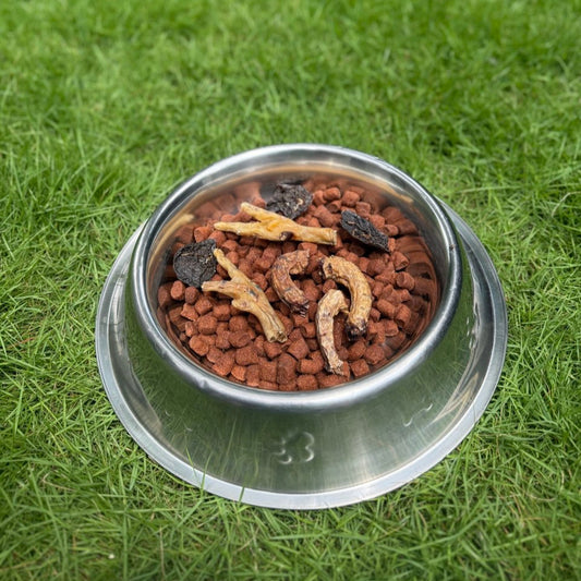 The Power of Natural Treats: Why Dehydrated Pet Food is the Best Choice